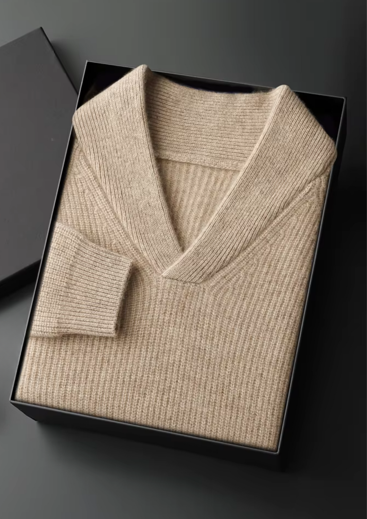 Men's RIBBED V-NECK SWEATER